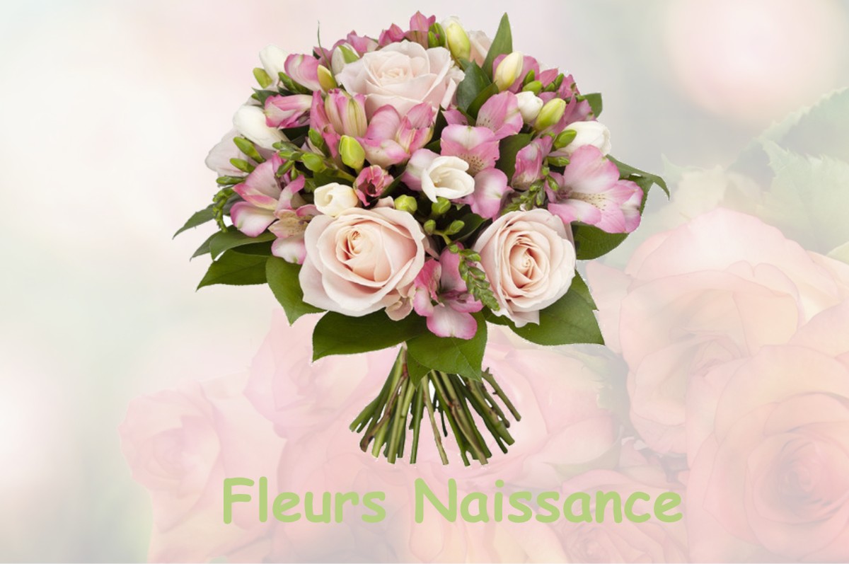 fleurs naissance MOLINGES