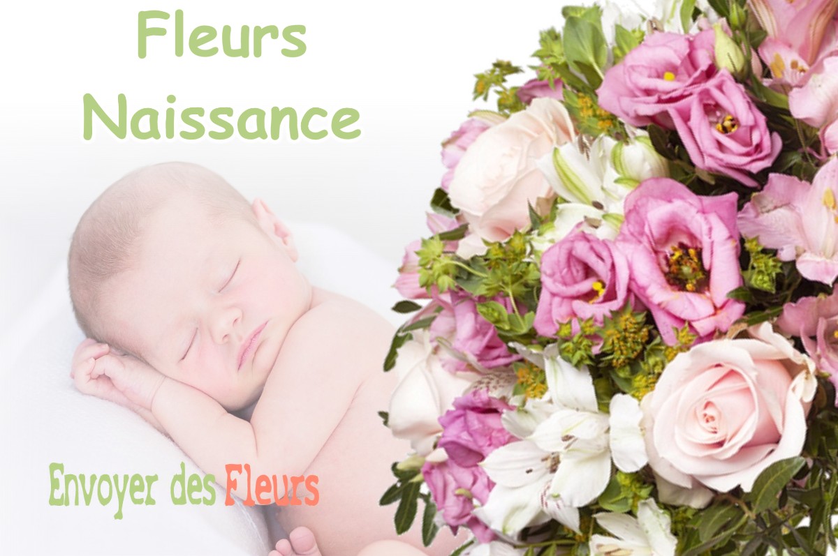 lIVRAISON FLEURS NAISSANCE à MOLINGES